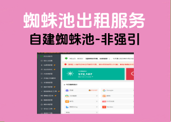 蜘蛛池出租服务