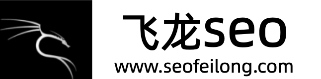飞龙SEO